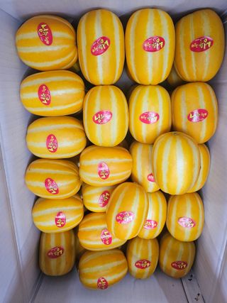 써니네님의 작성글 사진