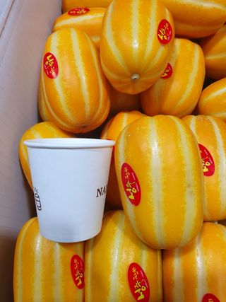 써니네님의 작성글 사진