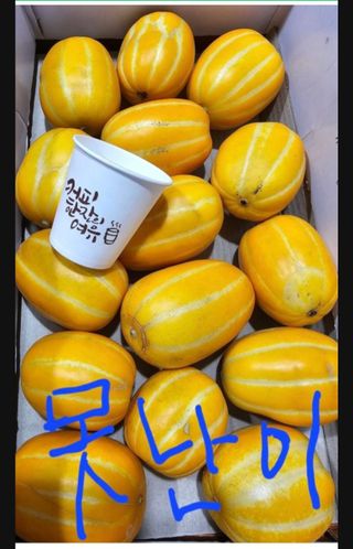 써니네님의 작성글 사진