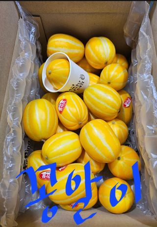 써니네님의 작성글 사진