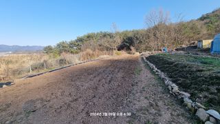 배종훈님의 고추 · 영농일지 작성글 사진