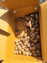 팜모닝 감자·영농일지 게시글 이미지