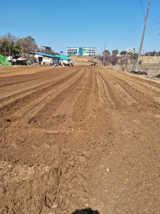 남종희님의 자유주제 · 사진전 작성글 사진