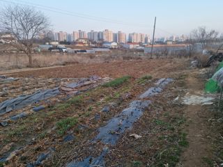 남종희님의 자유주제 · 사진전 작성글 사진