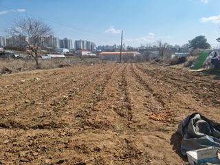 남종희님의 자유주제 · 사진전 작성글 사진