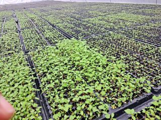 김종덕님의 기타작물 · 자유게시판 작성글 사진