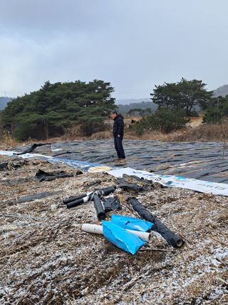 김종덕님의 기타작물 · 자유게시판 작성글 사진