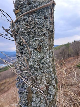 김종덕님의 기타작물 · 자유게시판 작성글 사진