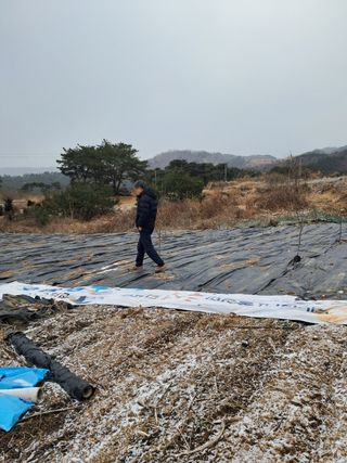 김종덕님의 기타작물 · 자유게시판 작성글 사진