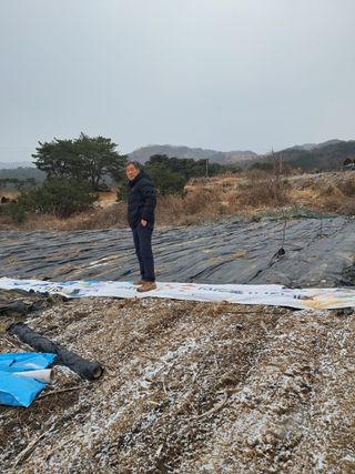 김종덕님의 기타작물 · 자유게시판 작성글 사진