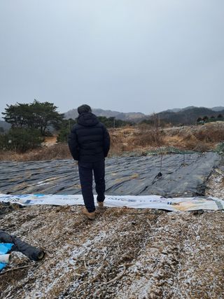 김종덕님의 기타작물 · 자유게시판 작성글 사진