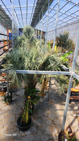 이순철님의 농사, 무엇이든 물어보세요! · 참여글 작성글 사진