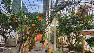 이순철님의 농사, 무엇이든 물어보세요! · 참여글 작성글 사진