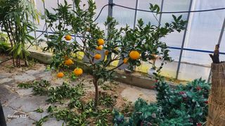 이순철님의 농사, 무엇이든 물어보세요! · 참여글 작성글 사진