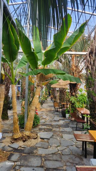 이순철님의 농사, 무엇이든 물어보세요! · 참여글 작성글 사진