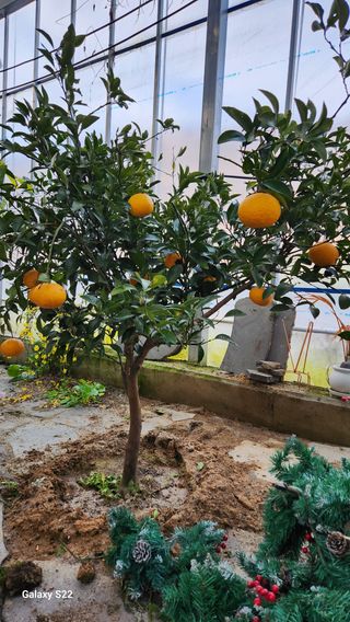 이순철님의 농사, 무엇이든 물어보세요! · 참여글 작성글 사진