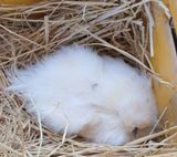 팜모닝 자유주제·자유게시판 게시글 이미지