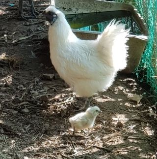 해은농장님의 자유주제 · 자유게시판 작성글 사진