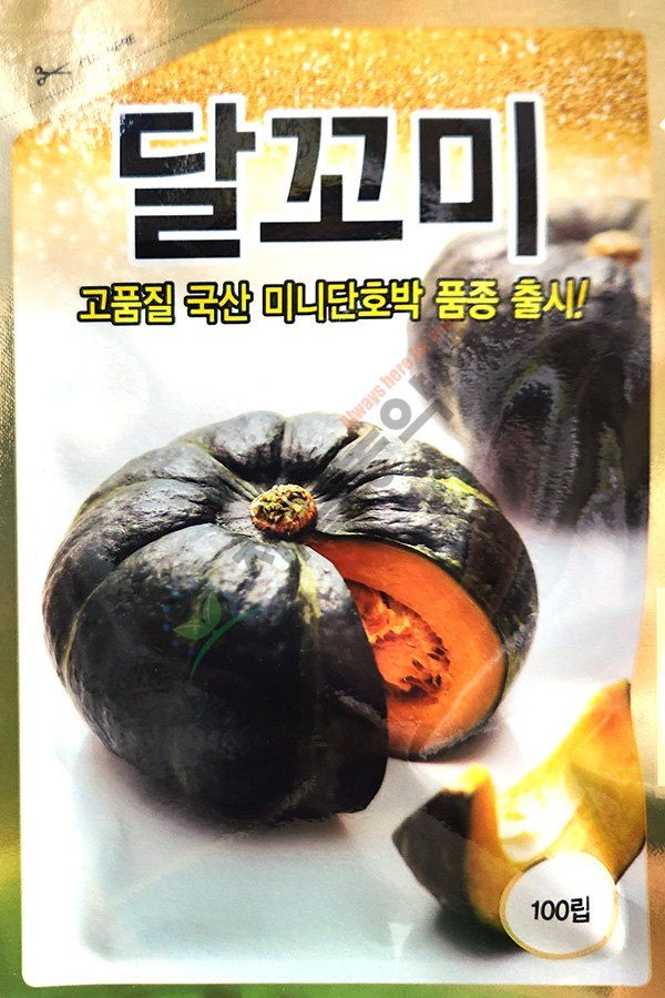 안산제일농약사님의 장터 판매 상품 [달꼬미미니단호박 100립 ] 첨부 사진