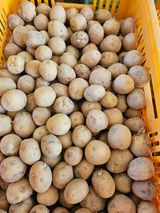 팜모닝 · 게시글 이미지