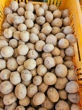 해풍님의 작성글 사진