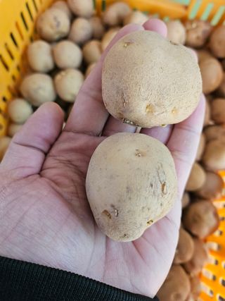 해풍님의 작성글 사진