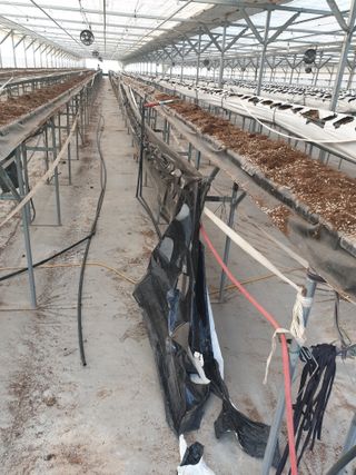 구절초님의 자유주제 · 자유게시판 작성글 사진