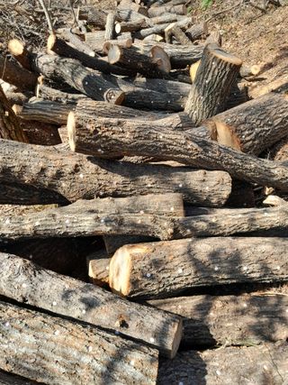 정상훈님의 자유주제 · 자유게시판 작성글 사진