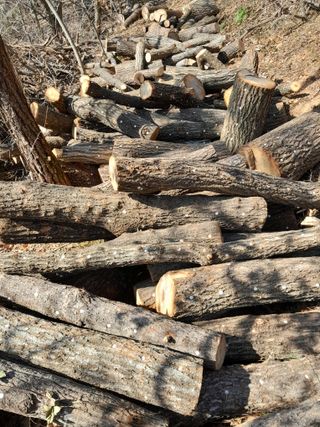 정상훈님의 자유주제 · 자유게시판 작성글 사진