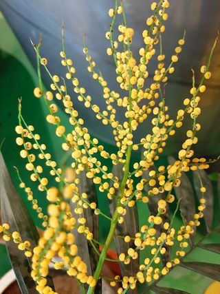 맹태임님의 자유주제 · 자유게시판 작성글 사진