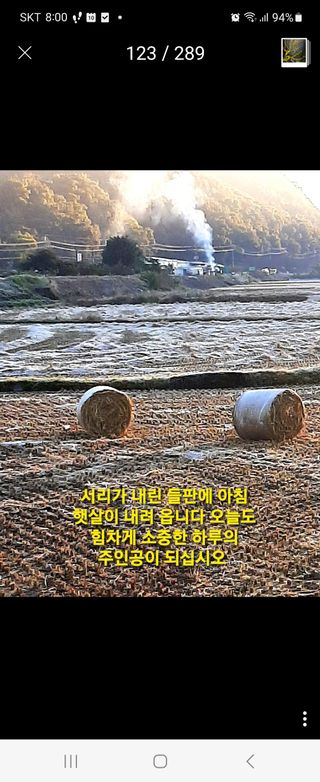 맹태임님의 자유주제 · 자유게시판 작성글 사진
