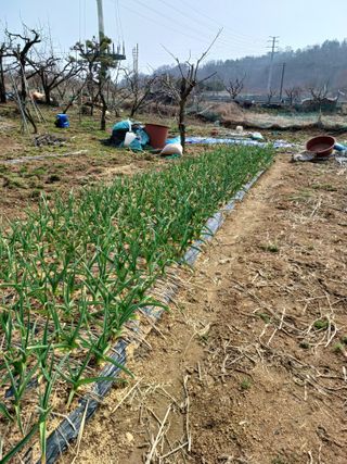 이기왕님의 자유주제 · 자유게시판 작성글 사진