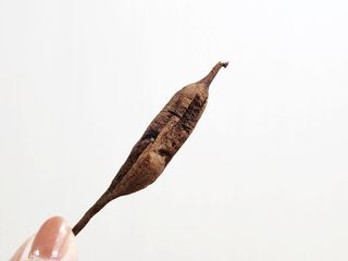 이창신님의 작성글 사진