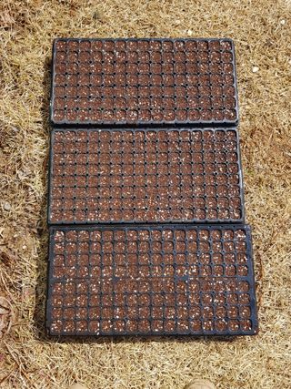 김건호님의 파 · 영농일지 작성글 사진