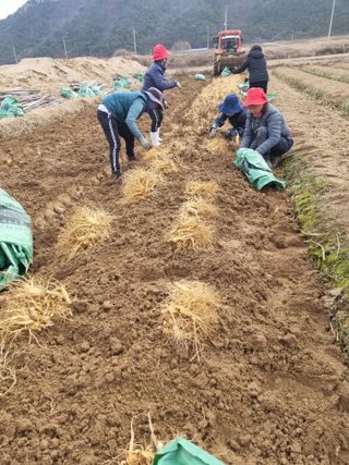 모두팜님의 자유주제 · 자유게시판 작성글 사진