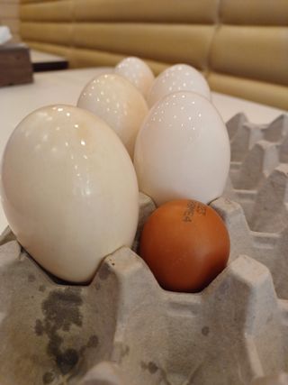 산골촌부님의 작성글 사진