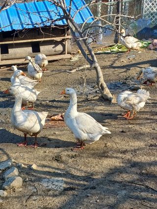 산골촌부님의 작성글 사진