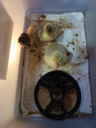 산골촌부님의 작성글 사진