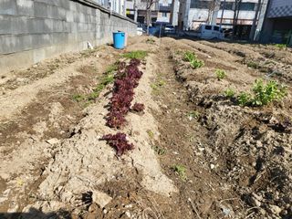 조상희님의 자유주제 · 자유게시판 작성글 사진