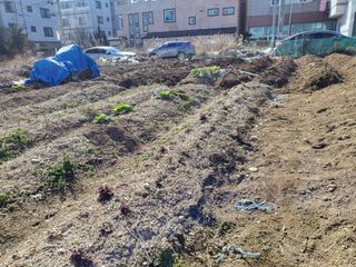 조상희님의 자유주제 · 자유게시판 작성글 사진