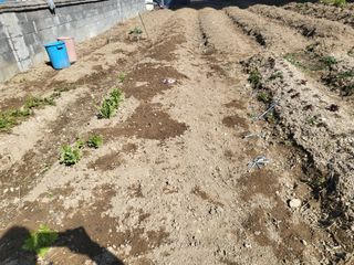 조상희님의 자유주제 · 자유게시판 작성글 사진