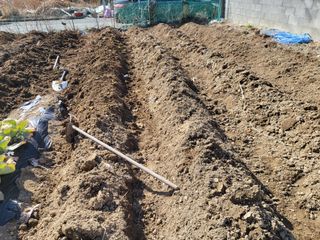 조상희님의 자유주제 · 자유게시판 작성글 사진