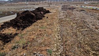 이영주님의 농사, 무엇이든 물어보세요! · 참여글 작성글 사진