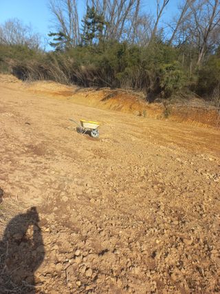 김경란님의 고구마 · 영농일지 작성글 사진