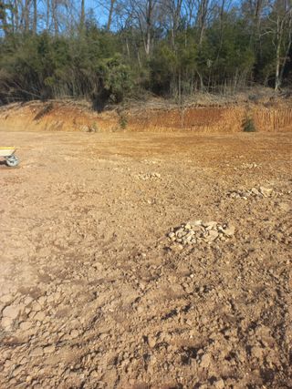 김경란님의 고구마 · 영농일지 작성글 사진