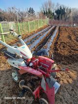 팜모닝 감자·영농일지 게시글 이미지