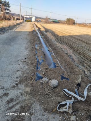 대왕소나무님의 감자 · 영농일지 작성글 사진