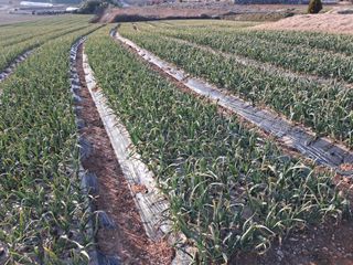 박태현님의 자유주제 · 자유게시판 작성글 사진