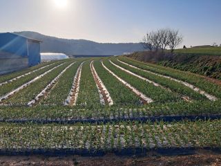 박태현님의 자유주제 · 자유게시판 작성글 사진