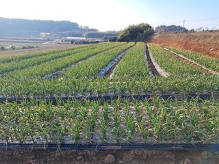 박태현님의 자유주제 · 자유게시판 작성글 사진